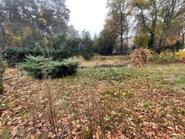 Erdgeschosswohnung kaufen in Schildow, Brandenburg