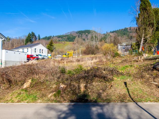 Landwirtschaft kaufen in Schopfheim, Baden-Württemberg