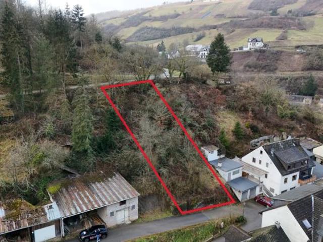 Erdgeschosswohnung kaufen in Oberdiebach, Rheinland-Pfalz