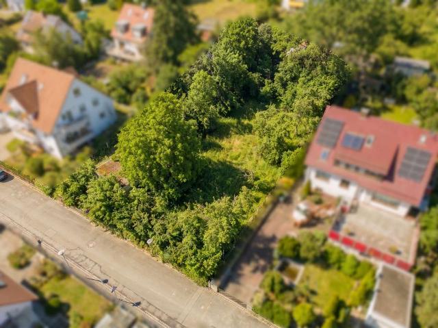 Erdgeschosswohnung kaufen in Forchheim, Landkreis Forchheim