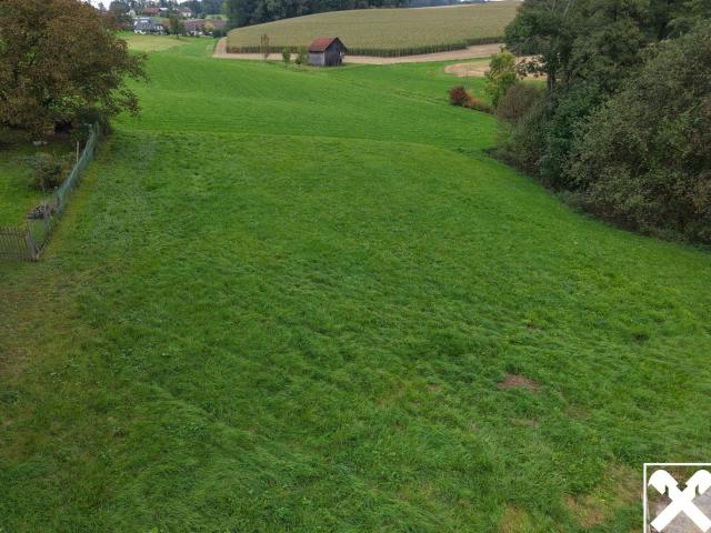 Grundstück kaufen in Aschach an der Steyr, Oberösterreich