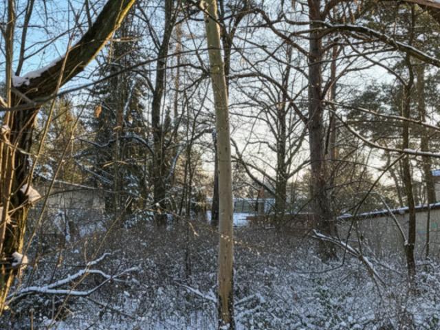 Erdgeschosswohnung kaufen in Berlin