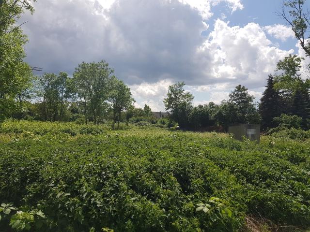 Landwirtschaft kaufen in Krostitz, Sachsen