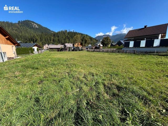 Immobilie kaufen in Thörl, Bad Mitterndorf