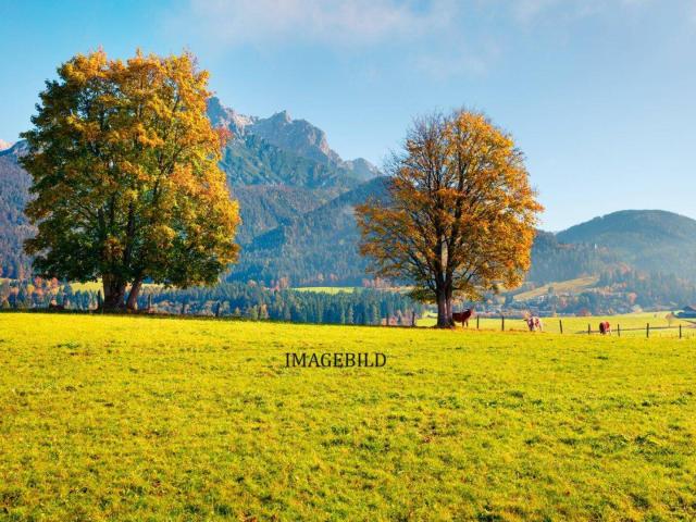 Immobilie kaufen in Leogang, Salzburg