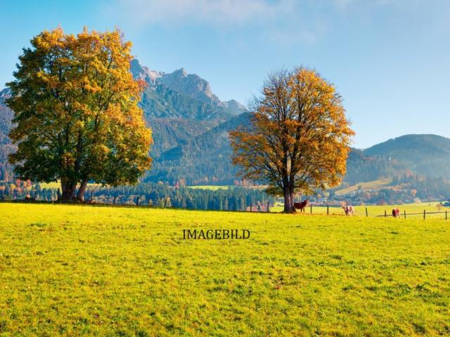 Grundstück kaufen in Leogang, Salzburg