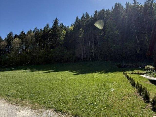 Immobilie kaufen in Landl, Steiermark