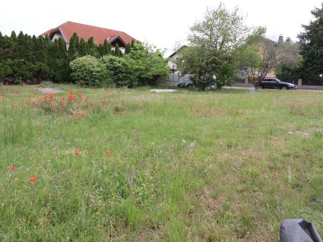 Grundstück kaufen in Traiskirchen, Niederösterreich