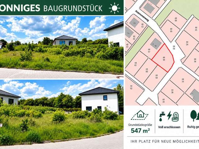 Erdgeschosswohnung kaufen in Sassnitz, Vorpommern-Rügen