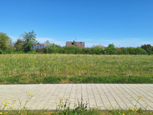 Erdgeschosswohnung mieten in Röhl, Rheinland-Pfalz