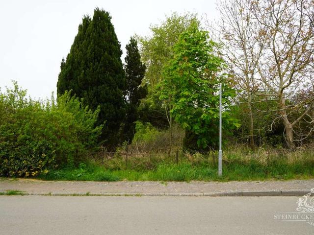 Erdgeschosswohnung kaufen in Dreschvitz, Vorpommern-Rügen