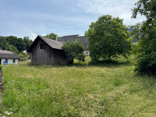Grundstück kaufen in Nenzing-Gurtis, Vorarlberg