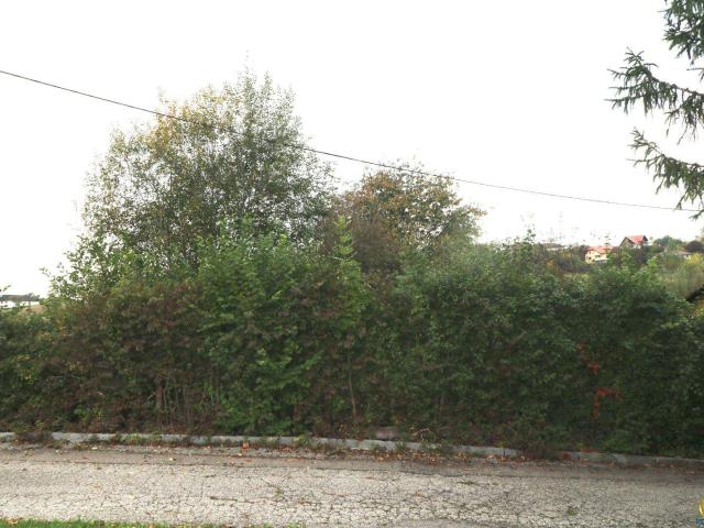 Immobilie kaufen in Wolfern, Oberösterreich