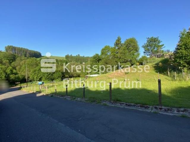 Erdgeschosswohnung kaufen in Pronsfeld, Rheinland-Pfalz