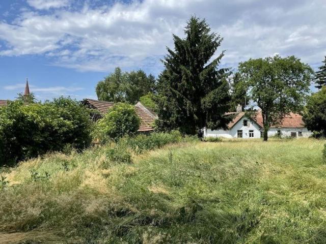 Grundstück kaufen in Tulln an der Donau, Niederösterreich