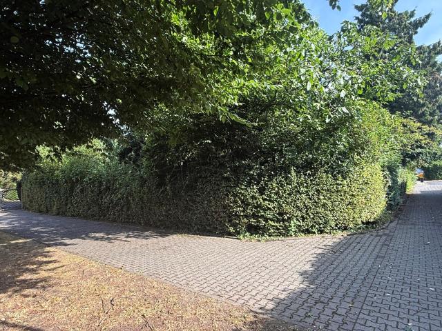 Erdgeschosswohnung kaufen in Giesenkirchen-Nord, Mönchengladbach