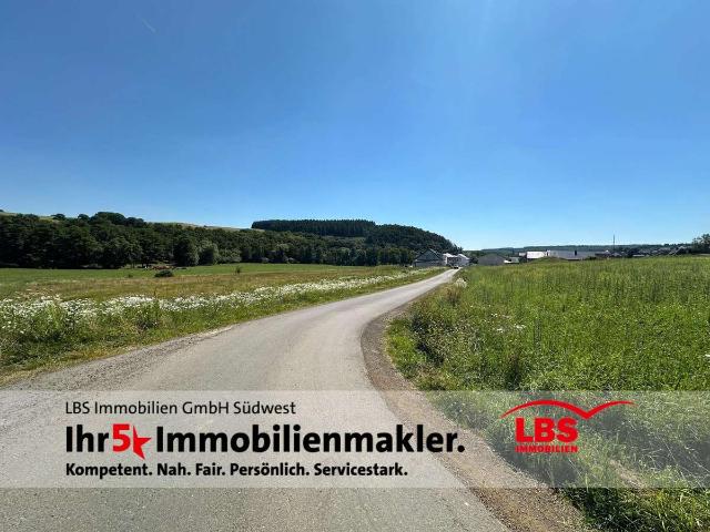 Erdgeschosswohnung kaufen in Rhaunen, Landkreis Birkenfeld