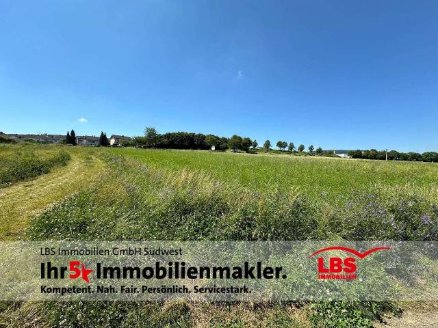 Erdgeschosswohnung kaufen in Rhaunen, Landkreis Birkenfeld