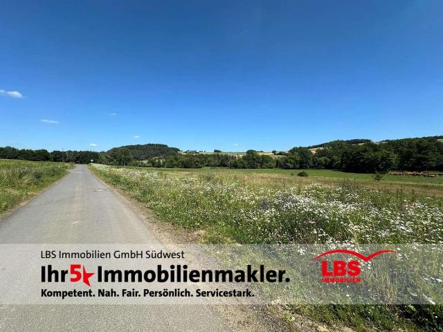 Erdgeschosswohnung kaufen in Rhaunen, Landkreis Birkenfeld
