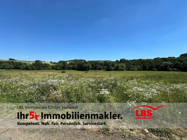 Erdgeschosswohnung kaufen in Rhaunen, Landkreis Birkenfeld