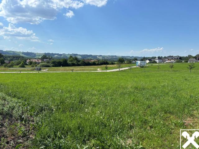 Grundstück kaufen in Schlierbach, Oberösterreich