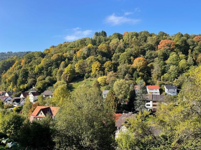Erdgeschosswohnung kaufen in Schönau, Baden-Württemberg