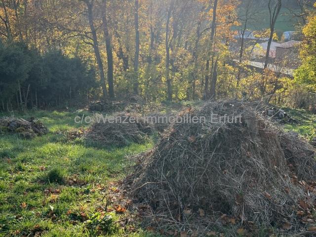 Landwirtschaft kaufen in Ilmenau, Thüringen