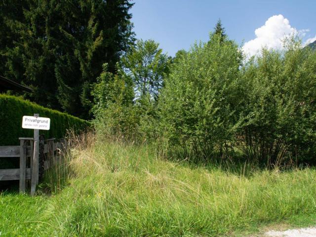 Immobilie kaufen in St. Ulrich am Pillersee, Tirol
