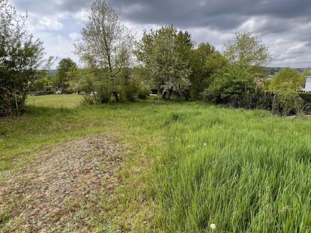 Grundstück kaufen in Sinabelkirchen, Steiermark