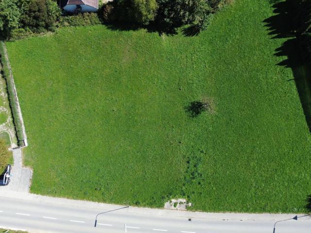 Immobilie kaufen in Sipbachzell, Oberösterreich
