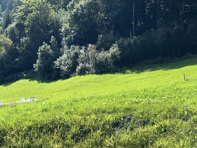 Grundstück kaufen in Taxenbach, Salzburg