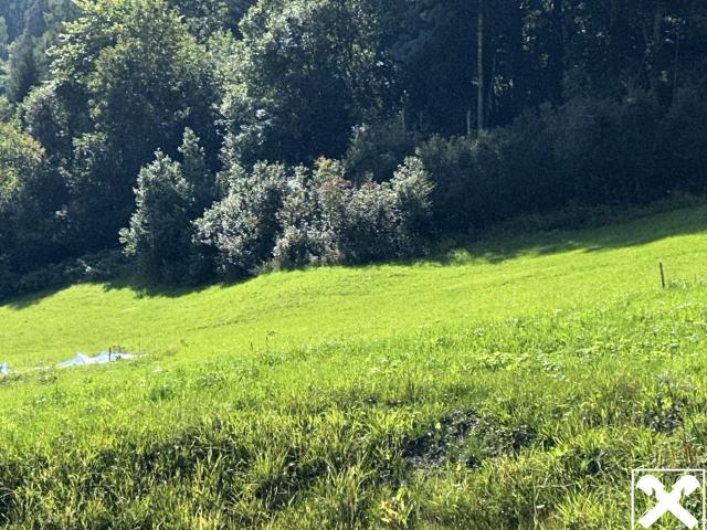 Immobilie kaufen in Taxberg, Taxenbach