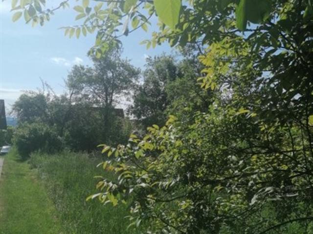 Grundstück mieten in Lang, Steiermark