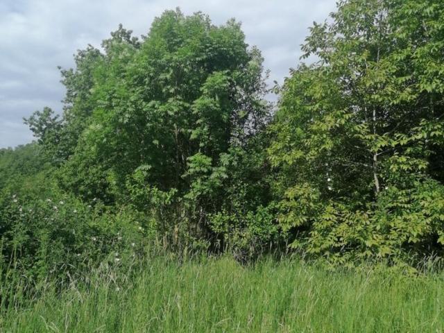 Grundstück mieten in Lang, Steiermark