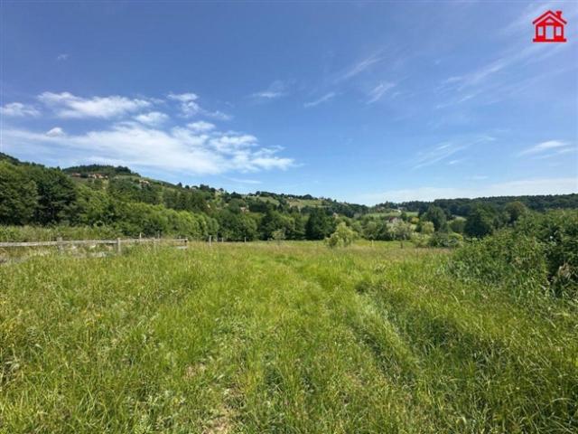 Grundstück kaufen in Bad Gams, Steiermark