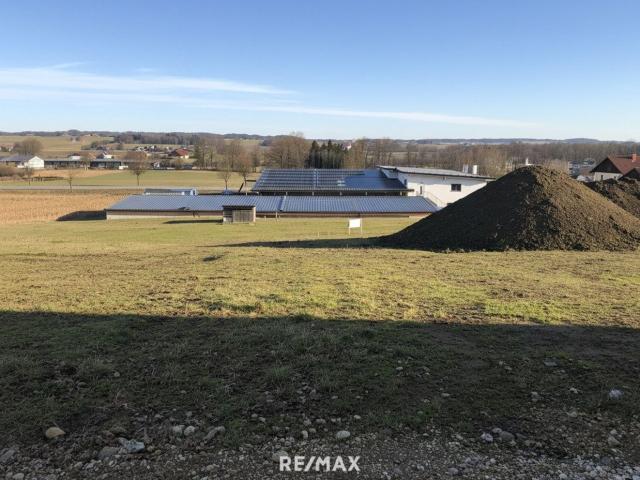 Grundstück kaufen in Kirchheim im Innkreis, Oberösterreich