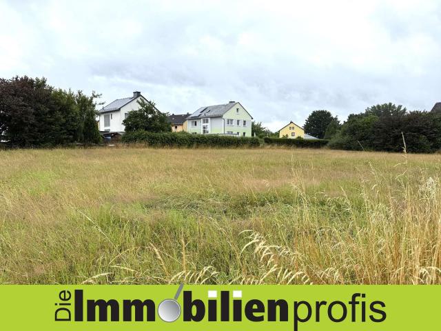 Landwirtschaft kaufen in Einöden, Sparneck