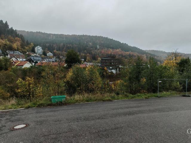 Erdgeschosswohnung kaufen in Sommerberg, Bad Wildbad
