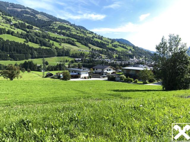 Immobilie kaufen in Taxberg, Taxenbach