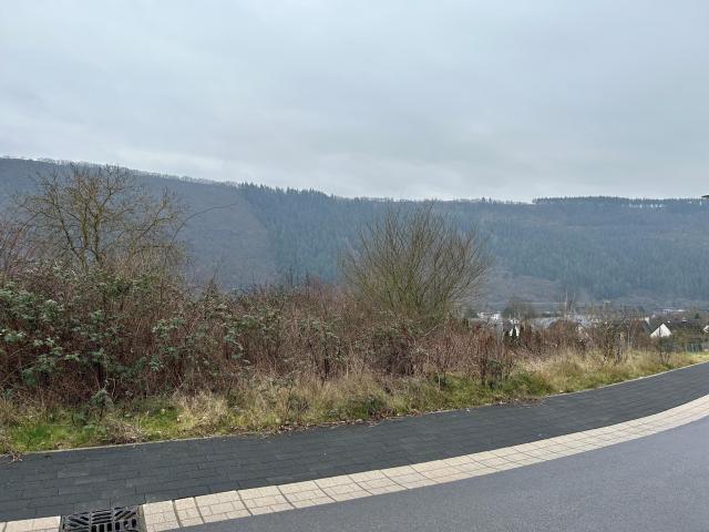 Erdgeschosswohnung mieten in Traben-Trarbach, Rheinland-Pfalz