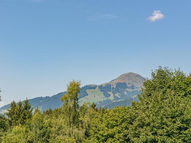 Grundstück kaufen in Kirchberg in Tirol, Tirol