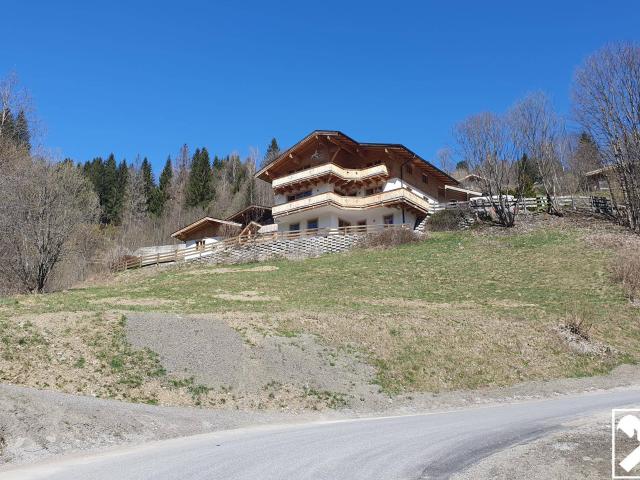 Immobilie kaufen in Viehhofen, Salzburg