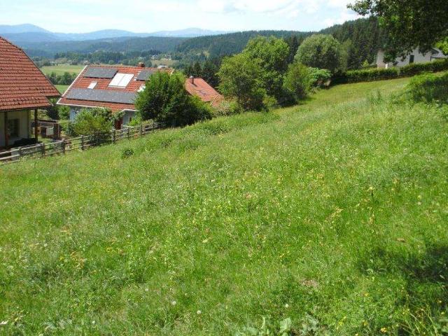 Immobilie kaufen in Weitensfeld, Kärnten