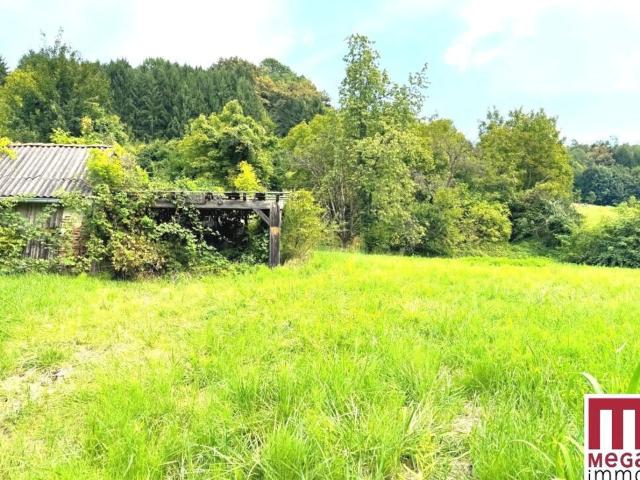 Grundstück kaufen in Wildon, Steiermark