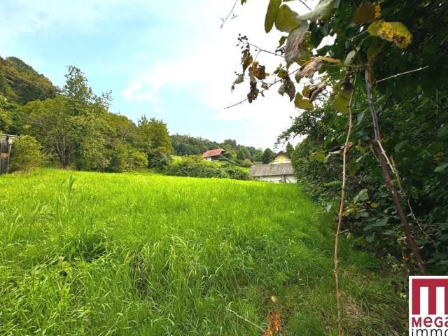 Grundstück kaufen in Wildon, Steiermark