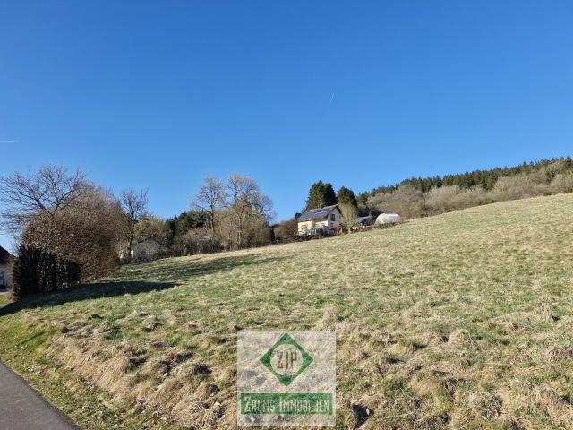 Landwirtschaft kaufen in Tafel, Prüm