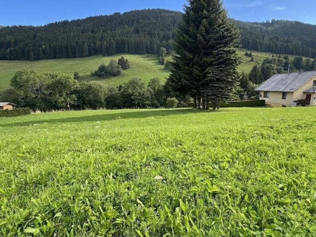 Immobilie kaufen in St. Johann am Tauern, Steiermark