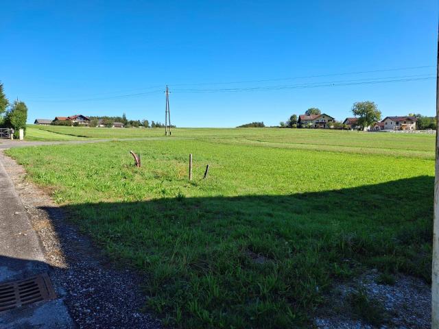 Immobilie kaufen in St. Georgen bei Salzburg, Oberösterreich