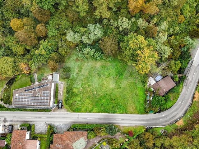 Immobilie kaufen in Losone, Tessin