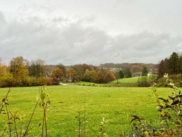 Erdgeschosswohnung kaufen in Neunkirchen-Seelscheid, Nordrhein-Westfalen
